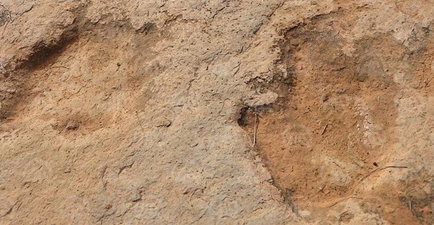 106 CM AYAK İZİ BULUNDU !