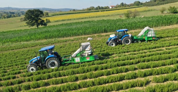 2025'te toprağa bereket yağdı;  Büyükşehir'den çiftçilere 166 milyon TL'lik destek