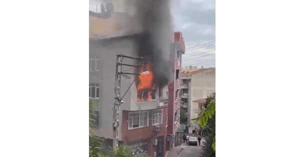 4 katlı binada yangın: 4 yavru kedi telef oldu