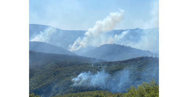 963 personel, 16 hava aracı ile Karamürsel'deki yangına büyük seferberlik