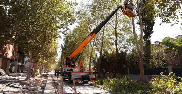 Alikahya Tramvay Hattı'nda ağaçlar budanıyor