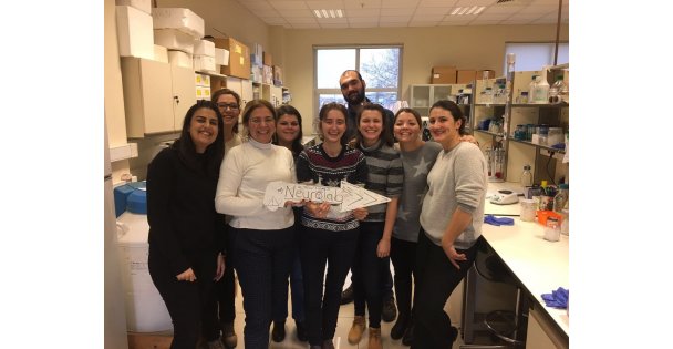 Alzheimer ve Parkinson tedavisi için ümit ışığı