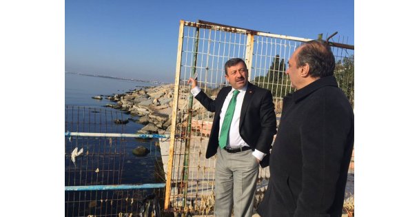 Balyanoz koyunu inceledi!