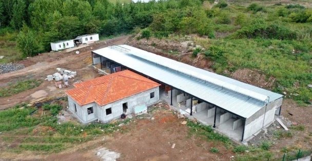 Başiskele'de Sokak Hayvanları İçin Geçici Rehabilitasyon Merkezi Açılıyor