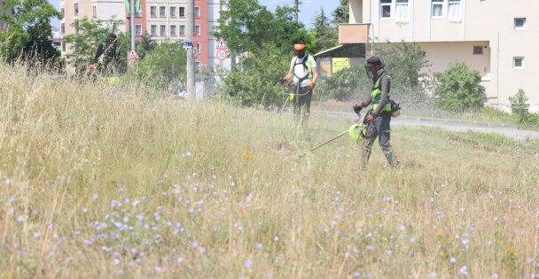 Boş arazilerdeki otlar biçiliyor