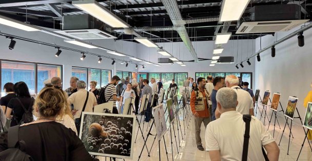 Bu fotoğraf sergisi Ormanya'da görsel şölen sunuyor