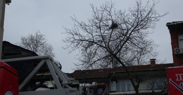 Budadığı ceviz ağacında fenalaşan vatandaşı itfaiye ekipleri kurtardı