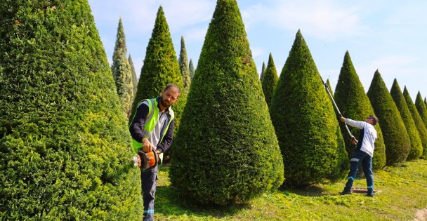 Büyükşehir, daha yeşil Kocaeli için sahada