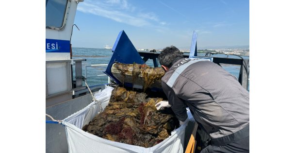 Büyükşehir, Deniz Ekosistemini Koruyor