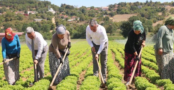 Büyükşehir destekliyor, üretim artıyor