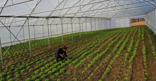 Büyükşehir'den çiftçilere modern sera desteği