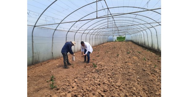 Büyükşehir'den çiftçilere ücretsiz toprak analizi