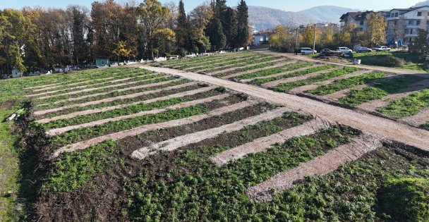 Büyükşehir'den Gölcük'e yeni mezarlık alanları