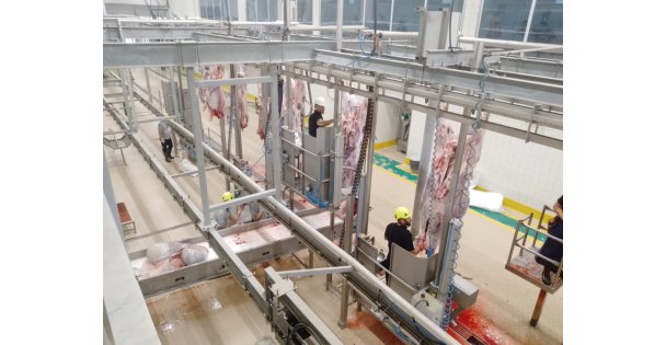 Büyükşehir'in modern mezbahasında kurbanlar kesiliyor