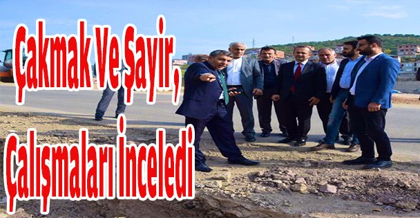 Çakmak Ve Şayir, Çalışmaları İnceledi