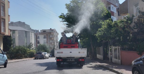 Çayırova'da vektörle mücadele sürüyor