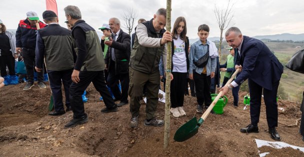 Ciğerimiz yanmıştı:  Karamürsel'de yanan bölge 3 bin fidanla yeniden yeşerecek