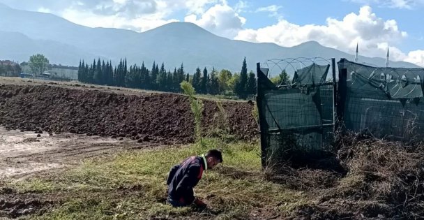 Çukura Düşen Yavru Köpeği A Takımı Kurtardı