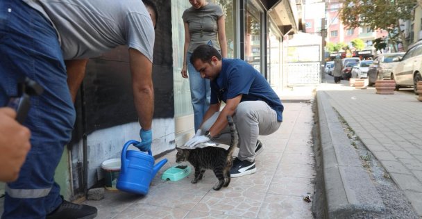Darıca Belediyesi'nden Can Dostlarımıza Mama ve Su Desteği