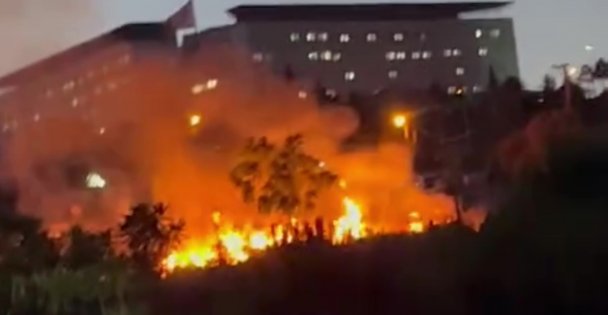 Darıca Millet Bahçesi'nde çıkan yangın söndürüldü