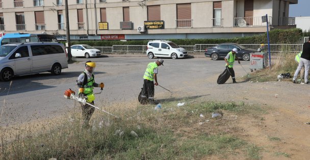 Darıca yaz temizliği