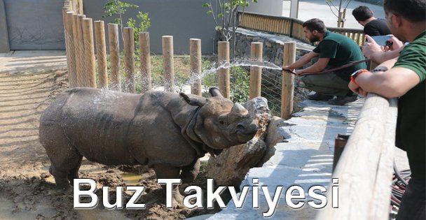 Darıca'da buz takviyesi!