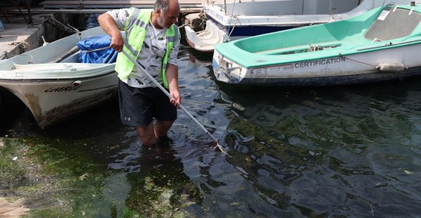 Darıca'da Mavi Vatan seferberliği