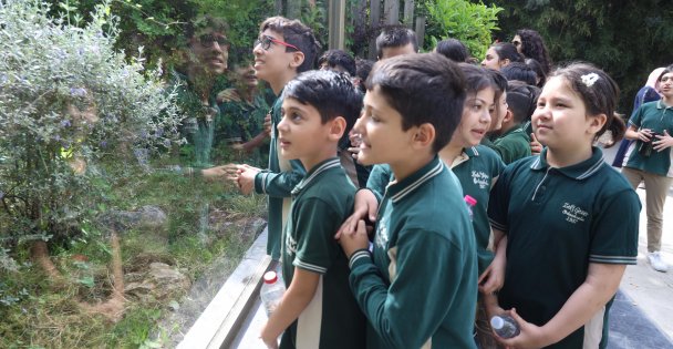 Darıcalı çocuklar Hayvanat Bahçesi'ni geziyor