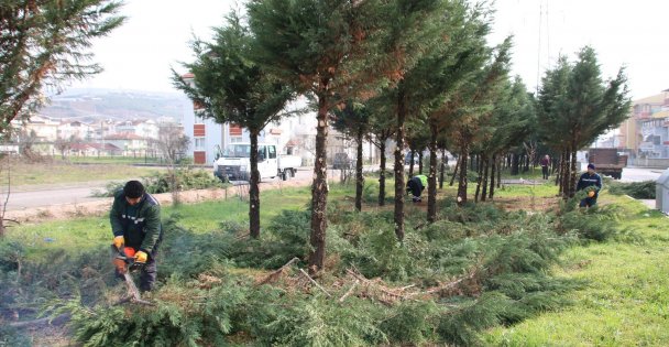 Derince'nin Sokakları Bahara Hazırlanıyor