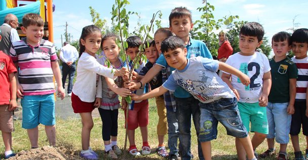 DİLOVASI'NDA MİNİK ELLER AĞAÇ DİKTİ