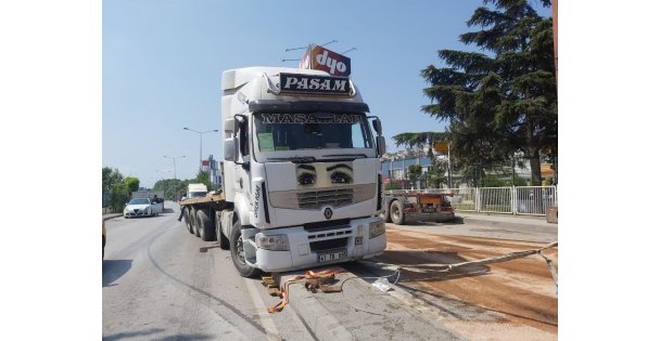 Direksiyonu kilitlenen tır refüjün üstündeki direğe çarptı