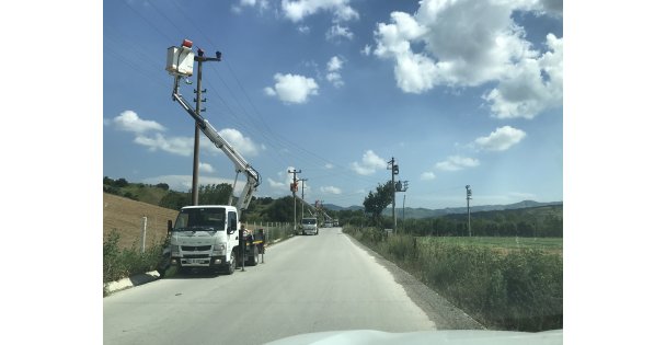 Elektrik direklerine konan leyleklerin akıma kapılmaması için seferber oldular