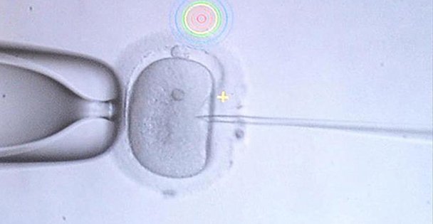 ERKEKLERDE KISIRLIK ORANI ARTIYOR!