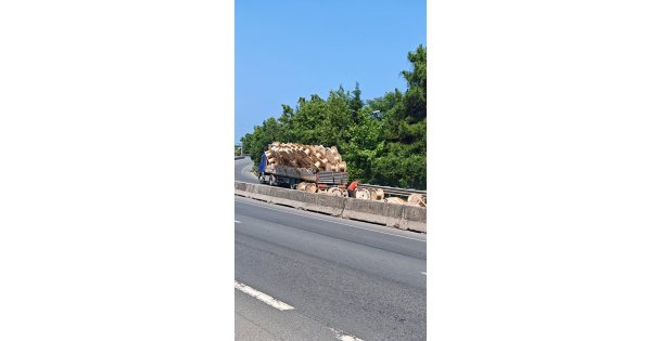 Faciaya ramak kaldı