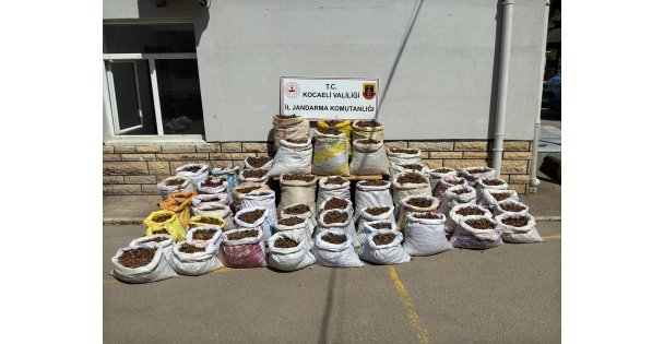 Fındık Hırsızlarının Hayali Jandarmanın Planıyla Suya Düştü: 22 Gözaltı