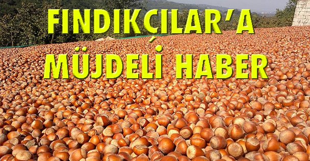 Fındıkçılara müjdeli haber!