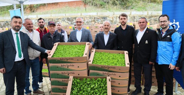 Gebze Bölgesi Sebze Fidesi Dağıtım Töreni Kadıllı'da Gerçekleşti