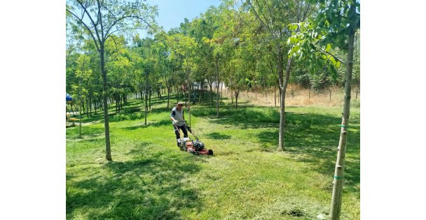 Gebze Tatlıkuyu Vadisi Kent Parkı'na düzenli bakım