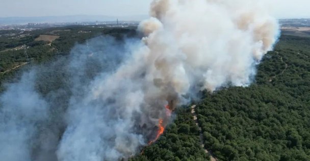 Gebze'de çıkan orman yangını kontrol altına alındı