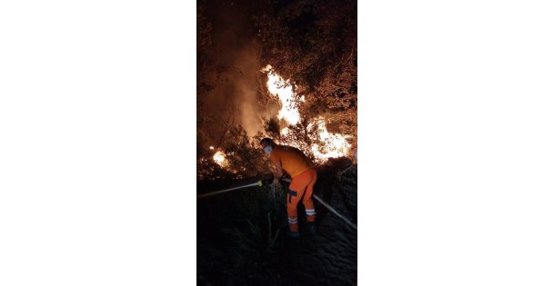 Gebze'de gece yarısı orman yangını: 7 dönüm alan kül oldu
