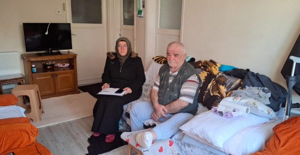 Gebze'nin mahallelerindeki çınarlar ziyaret ediliyor