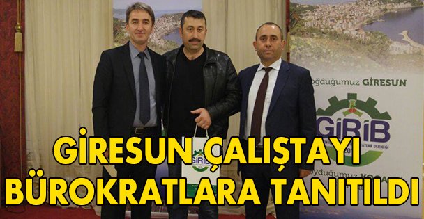 Giresun Çalıştayı Bürokratlara tanıtıldı