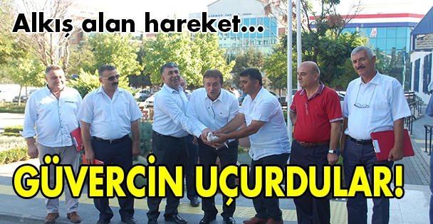 Güvercin uçurdular!