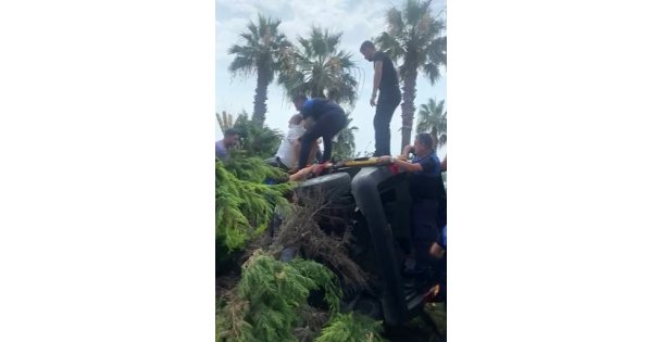 Hafif ticari aracın çarptığı ağaç üstüne devrildi: 1 yaralı