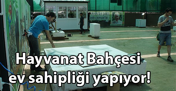 Hayvanat Bahçesi ev sahipliği yapıyor!