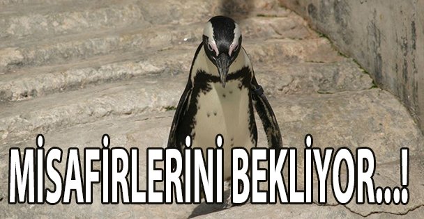 Hayvanat Bahçesi misafirlerini bekliyor!