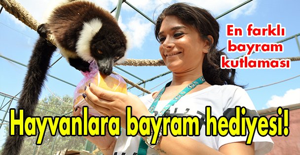 Hayvanlara bayram hediyesi!