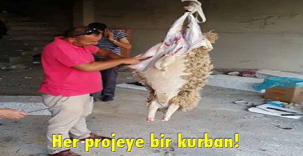 Her projeye bir kurban!