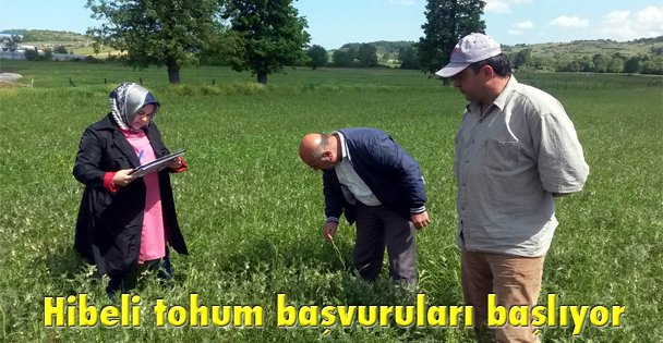 Hibeli tohum başvuruları başlıyor