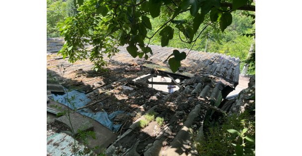 İpini koparan boğa 3 metre yükseklikten otomobilin üzerine düştü